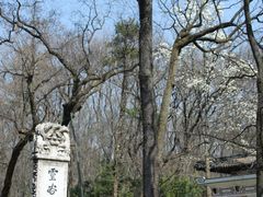 -灵谷景区