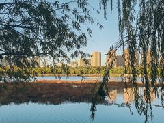 -长白岛森林公园