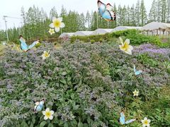 -前小桔亲子创意农场·草莓采摘·露营烧烤