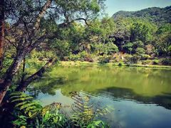 -深圳仙湖植物园