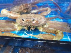 -吉友粥底火锅(方斜路店)