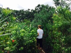 -三鹰之森吉卜力美术馆