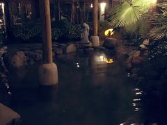 -金凤凰温泉度假村·凤凰汇中餐厅