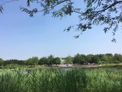 -永定河休闲森林公园