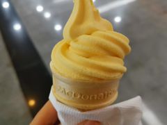 榴芒圆筒-麦当劳(世界城广场店)