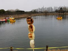 -太阳岛度假酒店