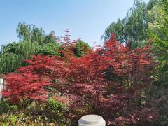 -西安汉城湖景区