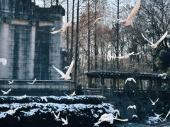 -音乐台