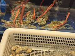 -烧蠔帮·生蚝海鲜牌档(观海店)