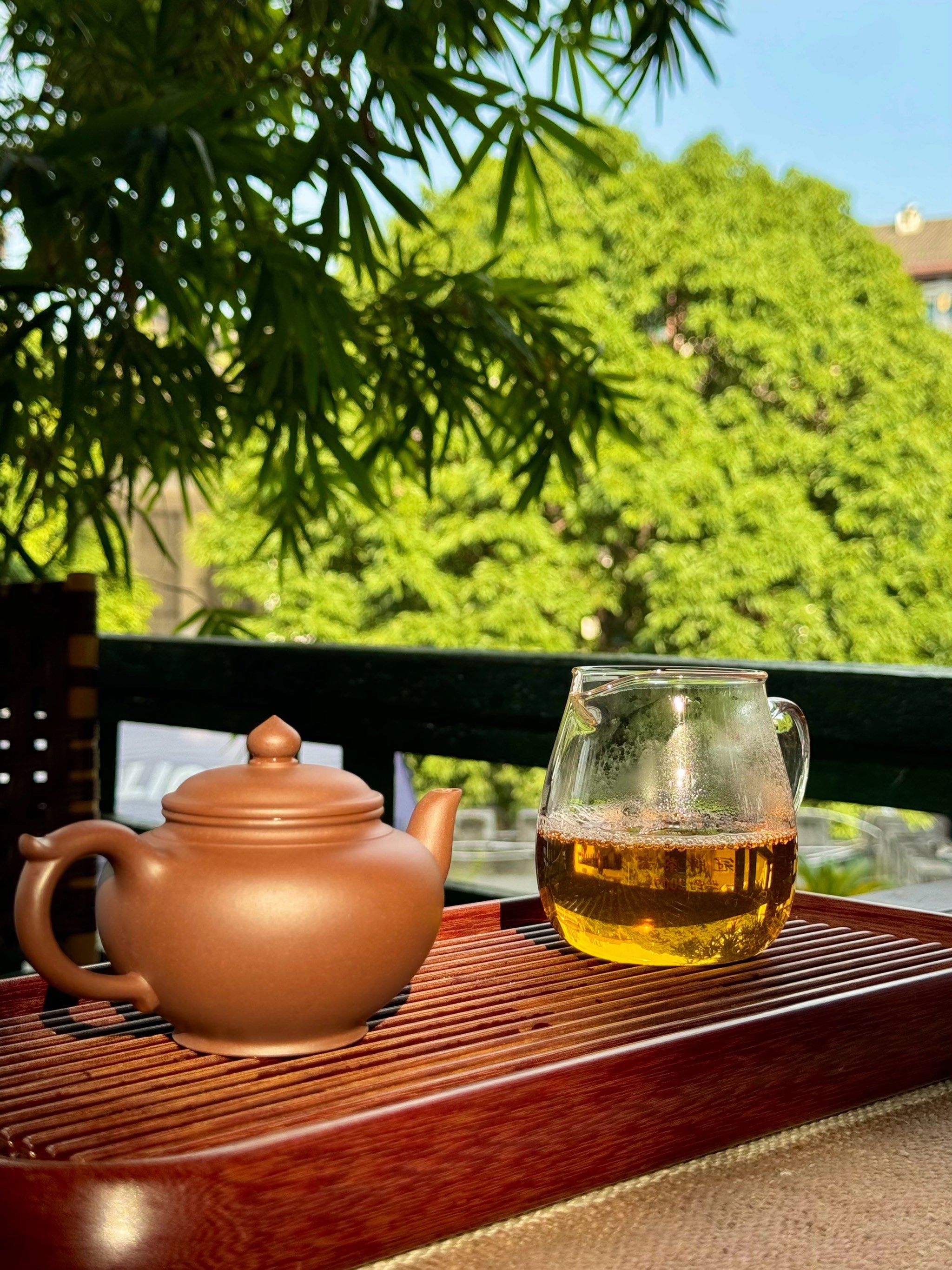 在这里喝茶提前感受养老生活