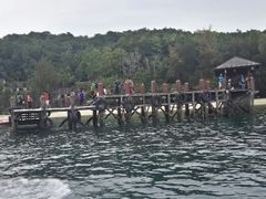 android_upload_pic-东姑阿都拉曼海洋公园