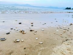 -巽寮湾