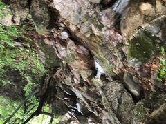 -红崖峡谷景区
