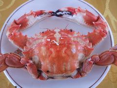 -张会海鲜饭店(东戴河店)