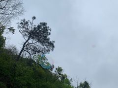 -桃花岭景区