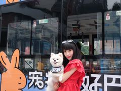 -帕帕拉兹宠物(亚洲旗舰店)