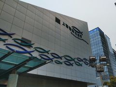 -上海海洋水族馆