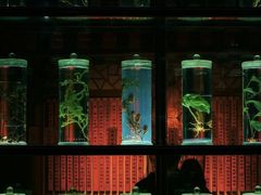 -广东中医药博物馆