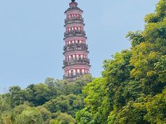 -顺峰山公园