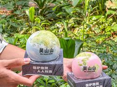 -吴山山·椰子酸奶(天河南店)