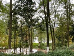 -重庆彩云湖湿地公园