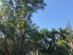 -广东外语外贸大学(白云山校区)