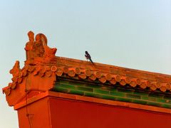 -故宫博物院(故宫)