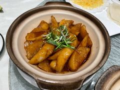 -丁老爷子苏香圆