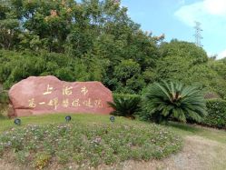 -复旦大学附属妇产科医院(杨浦院区)