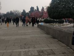 -大雁塔北广场音乐喷泉