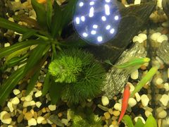 -三圣花乡旅游区