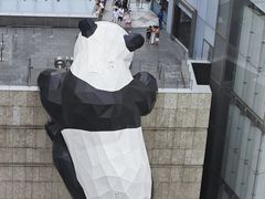 -老成都·古法采耳·禅洗头疗(四川总店)
