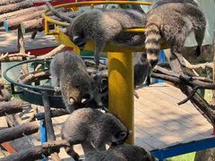 -西霞口神雕山野生动物世界