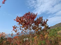 -塔川景区