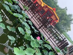 -台儿庄古城