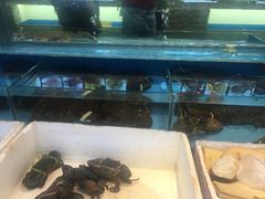 水产区-小龙酒家(桂平路店)
