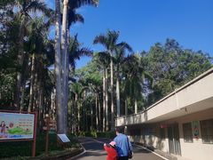 -广东茂名森林公园