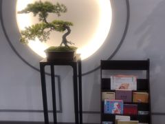 -席仁堂推拿按摩脊柱调理(世纪科贸大厦店)