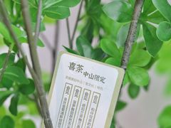 -喜茶(中山利和新地店)