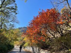 -北京鹫峰国家森林公园