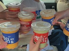 -南澳岛打卡果汁冰公司