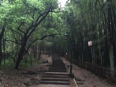 -杭州黄龙洞