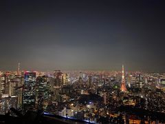 -六本木新城展望台(东京城市景观)