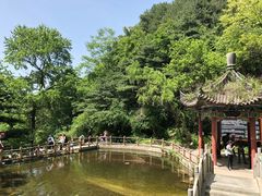 -王顺山国家森林公园