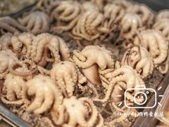 -铭聚章鱼土笋冻(松柏店)