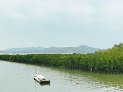 -大亚湾红树林城市湿地公园