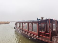 -宁波杭州湾国家湿地公园