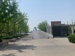 -大兴滨河森林公园