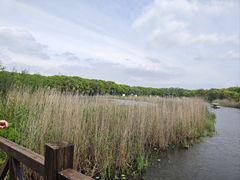 -同里国家湿地公园