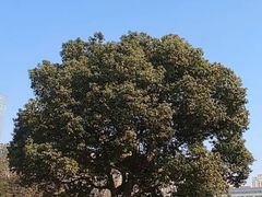 -艾溪湖湿地公园